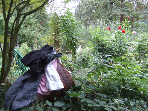 gw morning clothes and garden view